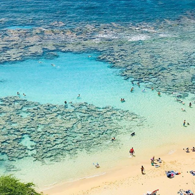ワイキキ周辺観光スポット「ハナウマ湾」
