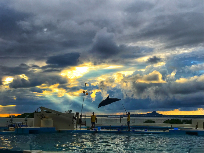 マジックアワーの海洋博公園