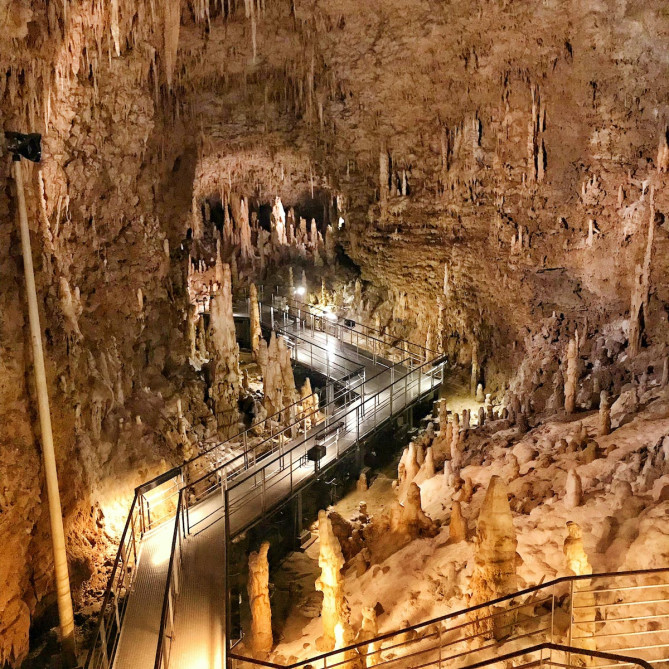 進むほどに景色が変わる鍾乳石に注目