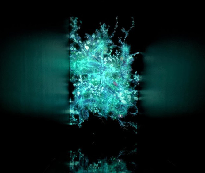 チームラボプラネッツ豊洲の「冷たい生命」