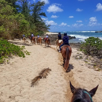 【ハワイ】乗馬が楽しめる人気スポット3選！大自然を馬と冒険するおすすめアクティビティ♪