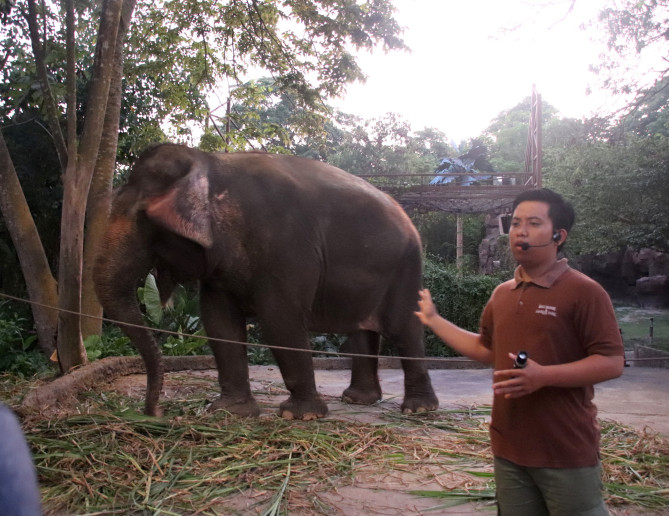 サファリガイドとのツアー