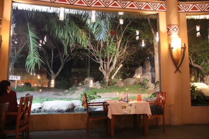 大きな窓からライオンが見える