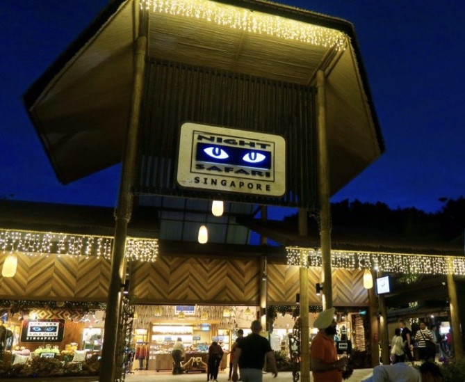 ナイトサファリ