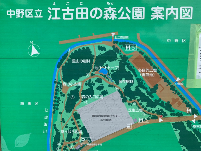 中野 江古田の森公園を徹底解説 駐車場 ランニングコース 遊具 散策路 周辺グルメスポット