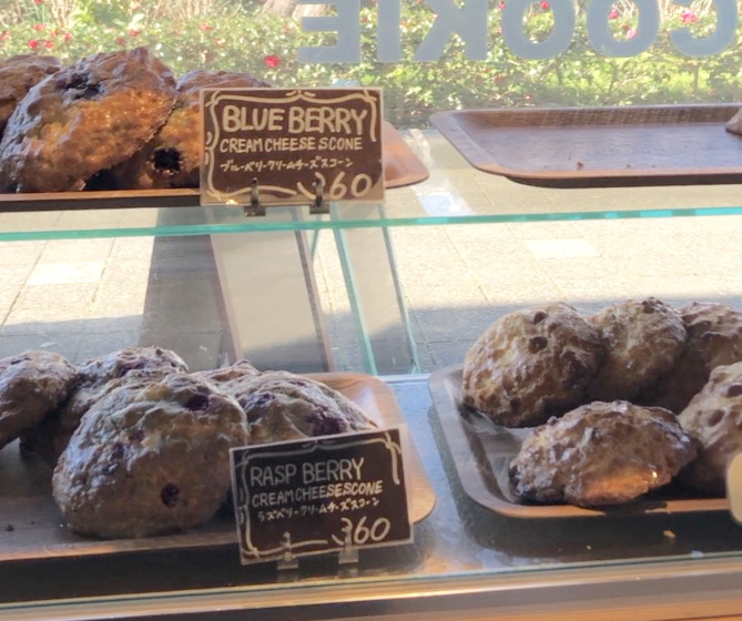 焼きたてスコーン