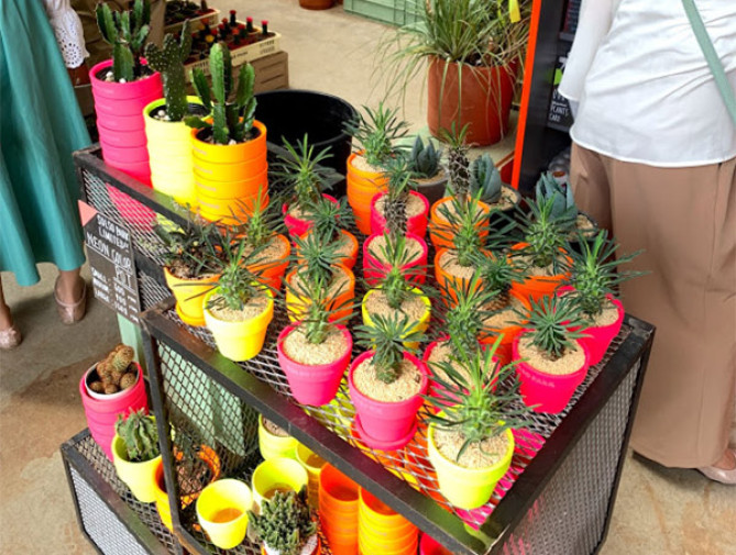 シェアグリーン南青山の「ソルソパーク」