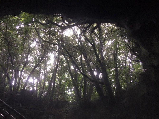 万丈窟（マンジャングル）の入り口