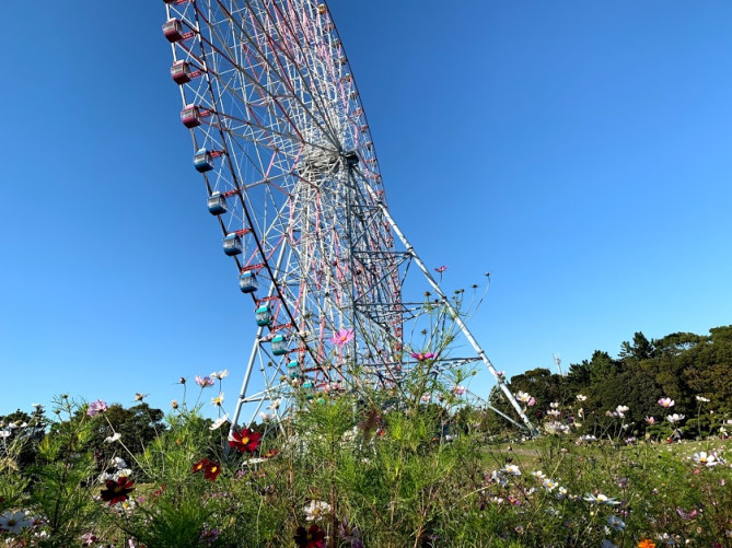 最新 葛西臨海公園の観覧車は日本最大級 料金 アクセス 周辺情報まとめ