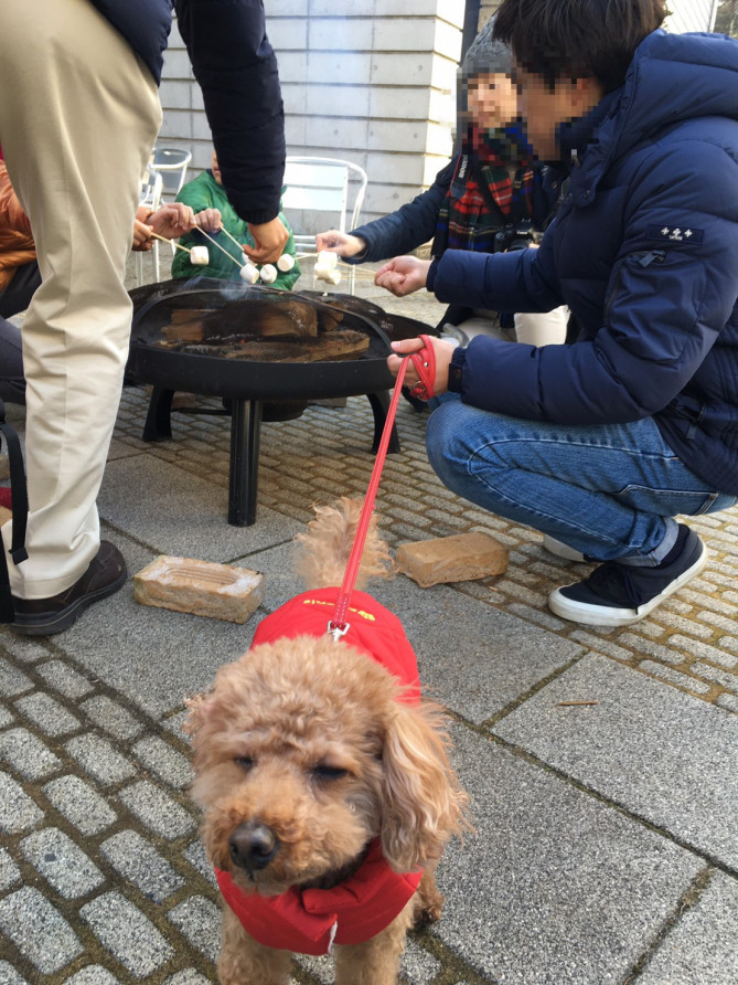 ピーマン通りでマシュマロ焼き体験（リゾナーレ八ヶ岳）