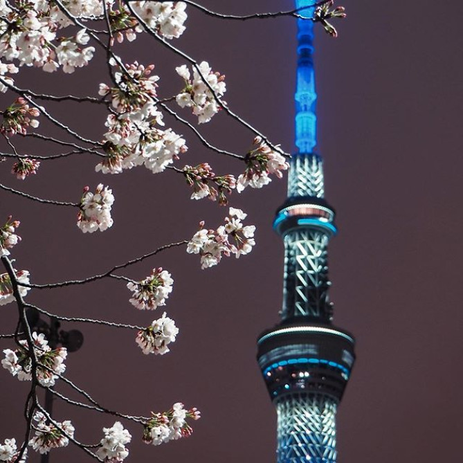 東京スカイツリーのライティング