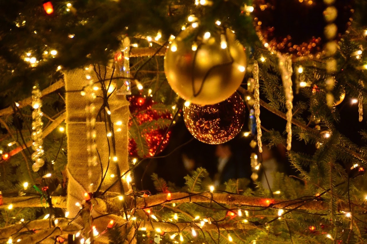 クリスマスキャンドルナイト 軽井沢高原教会 ミルミ Mirumi お出かけ 旅行メディア