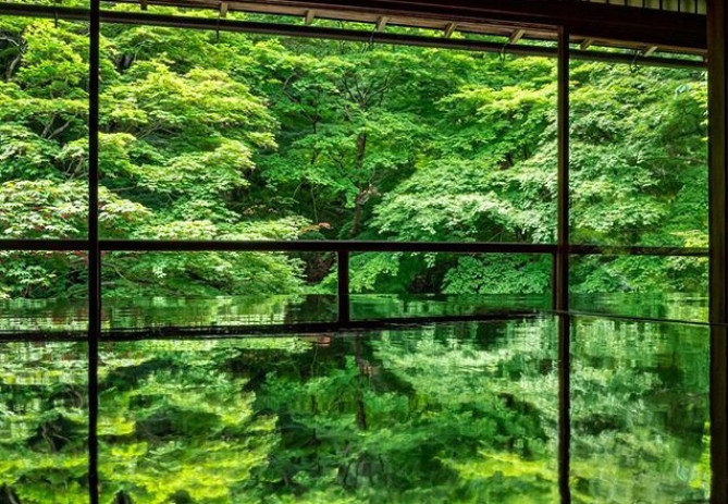京都 人気の絶景スポット8選 Snsで話題の名所や紅葉が映えるお寺 美しいライトアップも