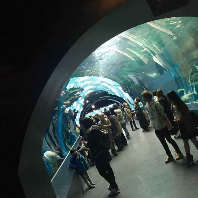 アクアパーク品川　海中トンネル