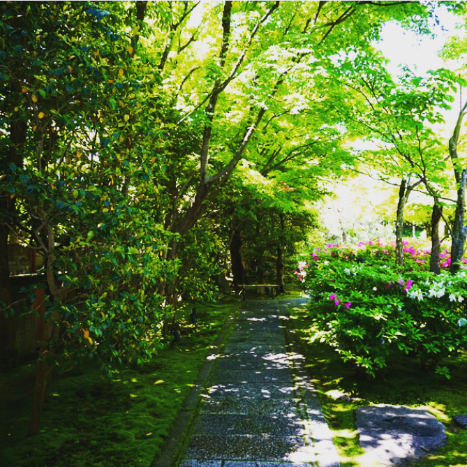 圓徳院