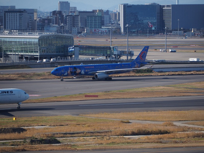 特徴のある飛行機が現れることも♪