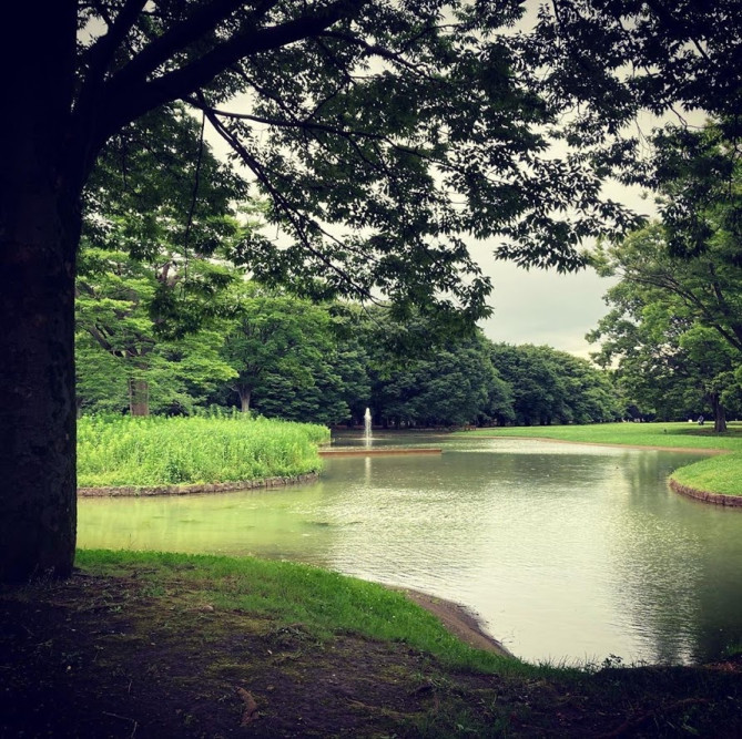 代々木公園の噴水