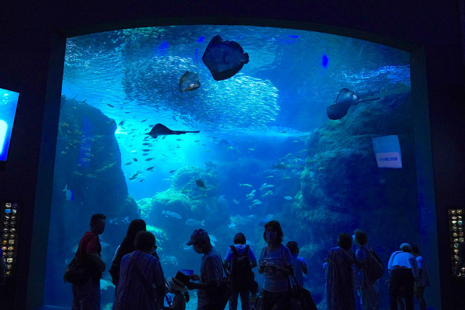 新江ノ島水族館