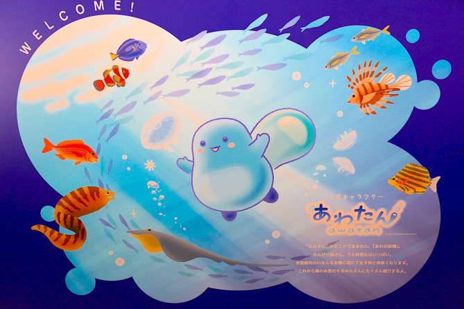 新江ノ島水族館（えのすい）のマスコットキャラクター：あわたん