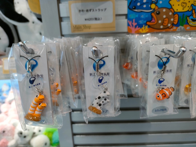 新江ノ島水族館（えのすい）お土産：かわ・めずストラップ