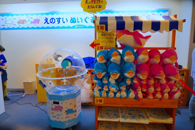 新江ノ島水族館（えのすい）お土産：いるかくじ