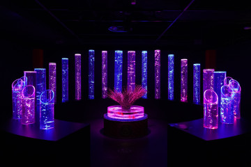 アートアクアリウム美術館 GINZAを徹底解説！金魚×芸術の展覧会！おすすめの写真の撮り方も！