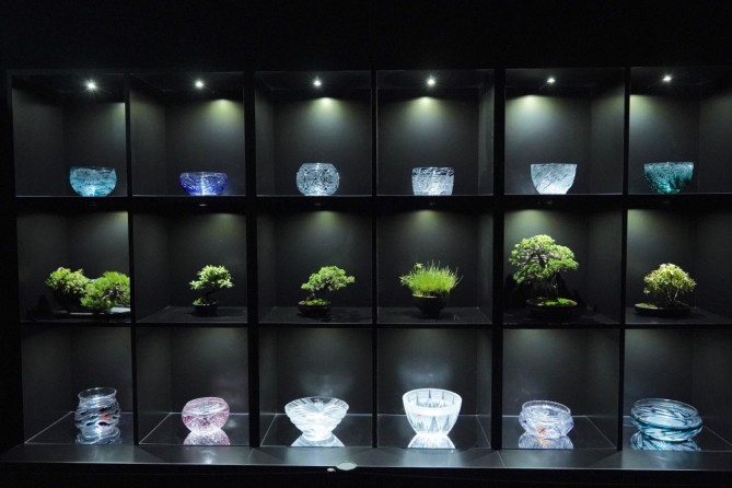 アートアクアリウム美術館 GINZAの魅力