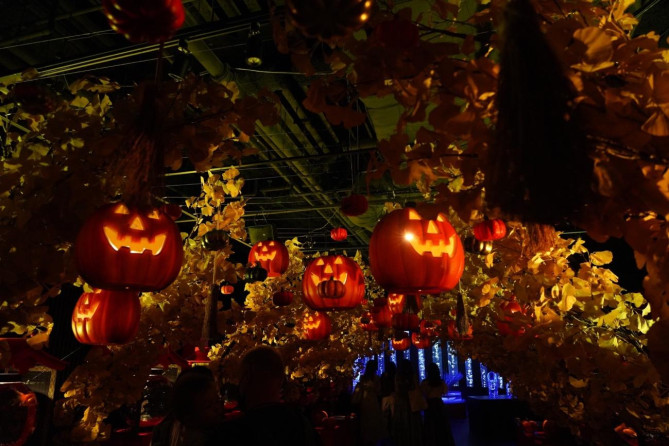 アートアクアリウム美術館 GINZA：提灯リウム