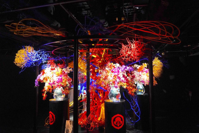 アートアクアリウム美術館 GINZA：フラワーリウム
