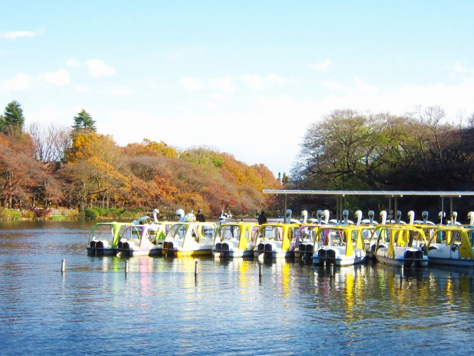 井の頭公園