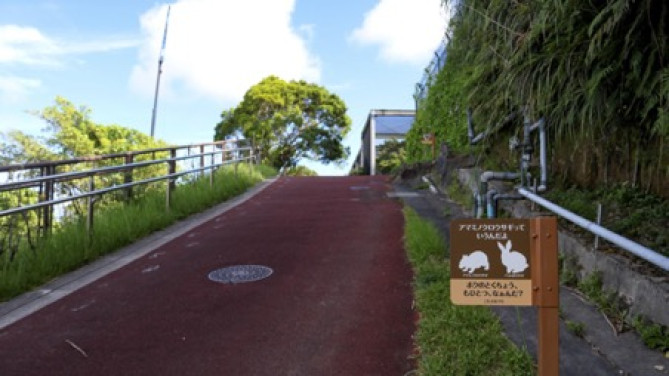 「琉球列島舎 アークおきまる」への道のり