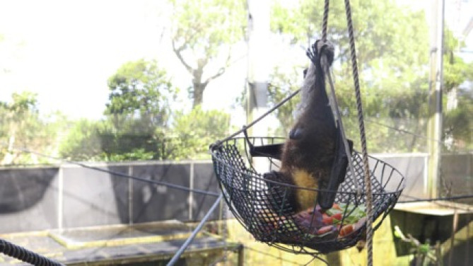 「琉球列島舎 アークおきまる」
