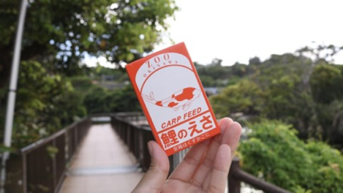 鯉のえさ/「沖縄こどもの国」