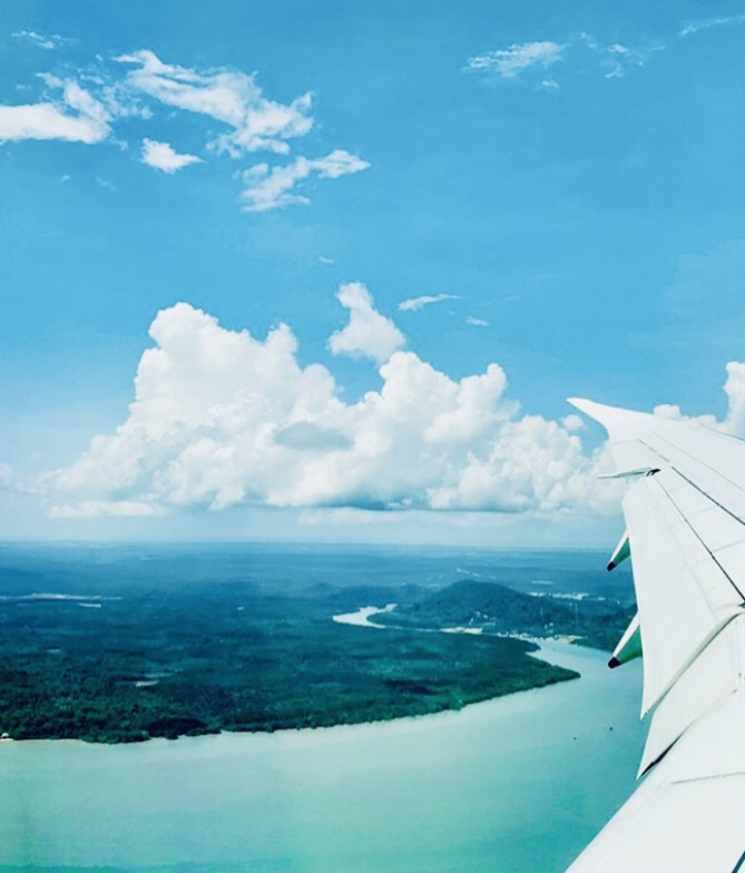 飛行機からの景色
