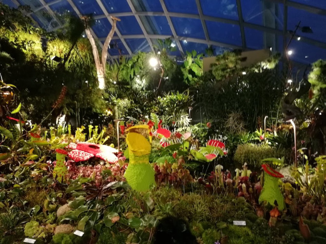 ドーム型植物園内にて撮影