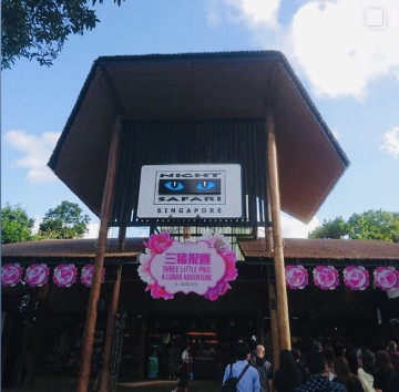 【最新】シンガポールナイトサファリ完全ガイド！夜限定のショー、料金、アクセス、注意点など