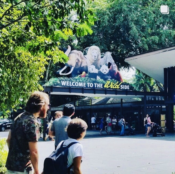 シンガポール動物園