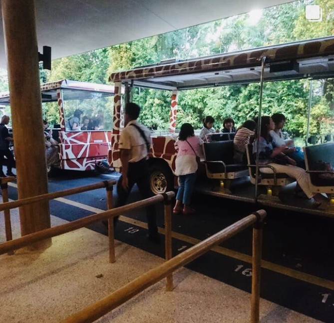 人気のトラムツアー