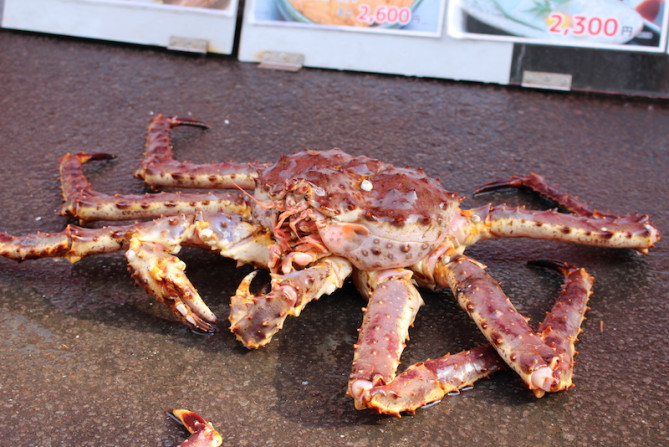大きなカニが観光客をお出迎え