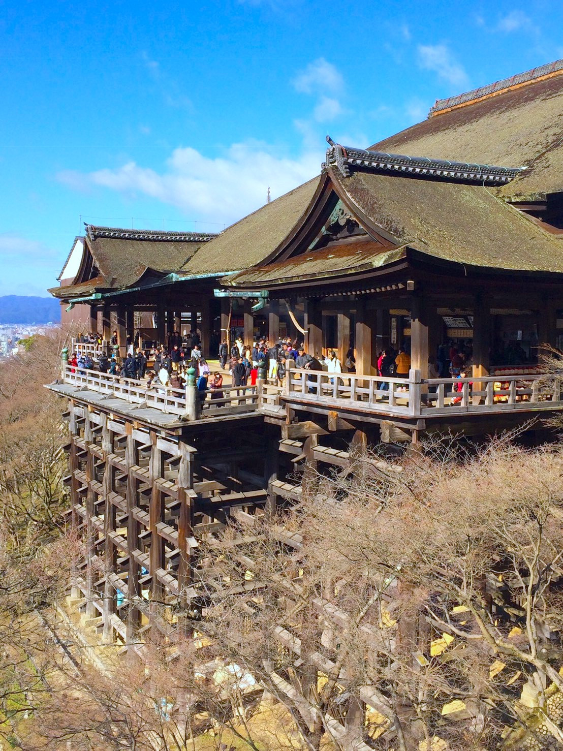 清水の舞台 ミルミ mirumi お出かけ・旅行メディア