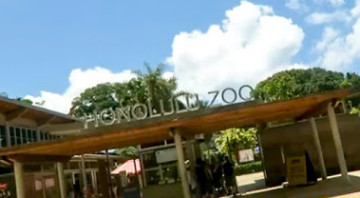 【ハワイ】ホノルル動物園の魅力を紹介！混雑してない？どんな動物に出会える？アクセスは？_
