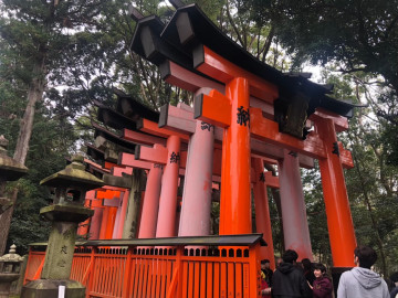 【京都】観光名所をエリアごとに紹介！八坂神社、清水寺、平等院、伏見稲荷大社、下鴨神社など