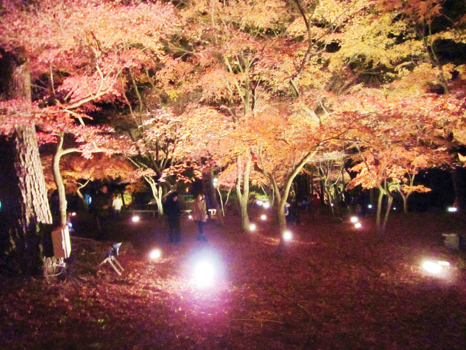 見晴公園・旧岩船氏庭園(香雪園)