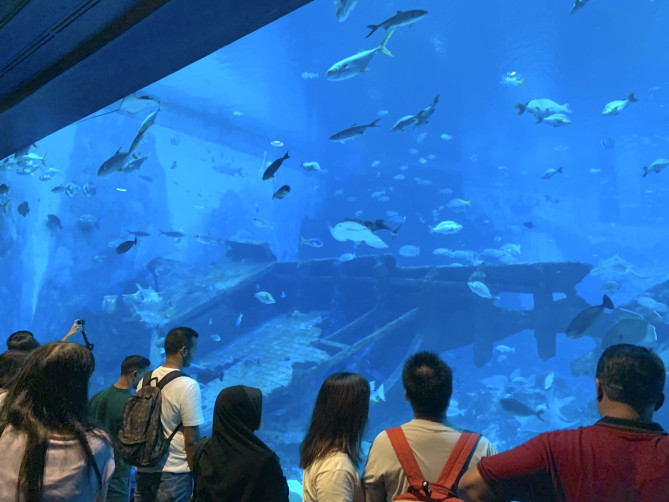 オープン・オーシャン