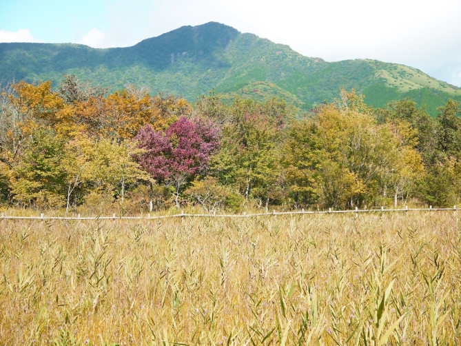 トレッキング(山歩き)