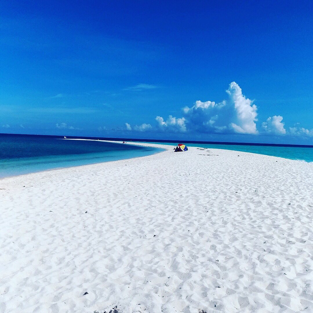 セブ島 本当は教えたくないモアルボアルの魅力 隠れ家ビーチ ウミガメ ツアー情報も セブ島 本当は教えたくないモアルボアルの魅力 隠れ家ビーチ ウミガメ ツアー情報も