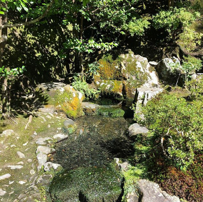 とてもキレイな銀閣寺の庭園