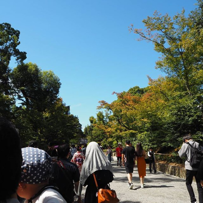 多くの人が訪れる金閣寺