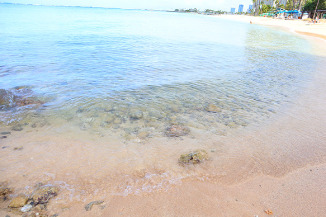 ハワイの美しい海