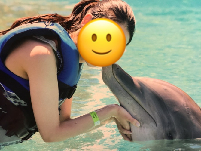 シーライフパークのイルカプログラム